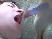Sperm loving stud awaiting for a load in this beastality video scene
